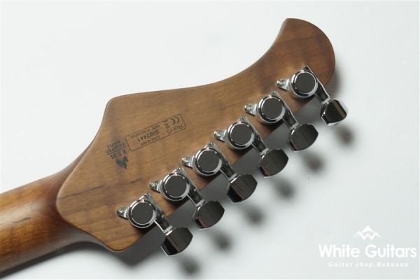 BSH-800ASH/RSM - WBD